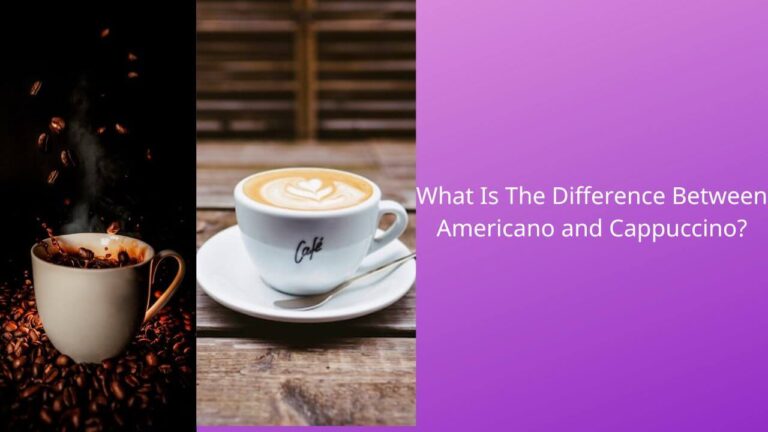 What Is The Critical Difference Between Americano and Cappuccino?
