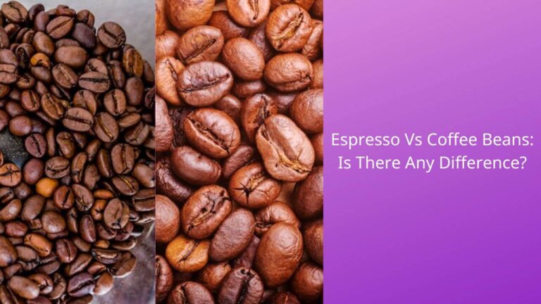 What Is The Difference Between Espresso And Coffee Beans?